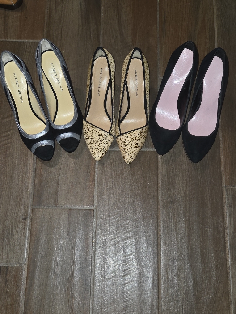 Audrey Brooke, Antonio Melani And Vince Camuto Heels